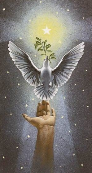 Фото из интернета