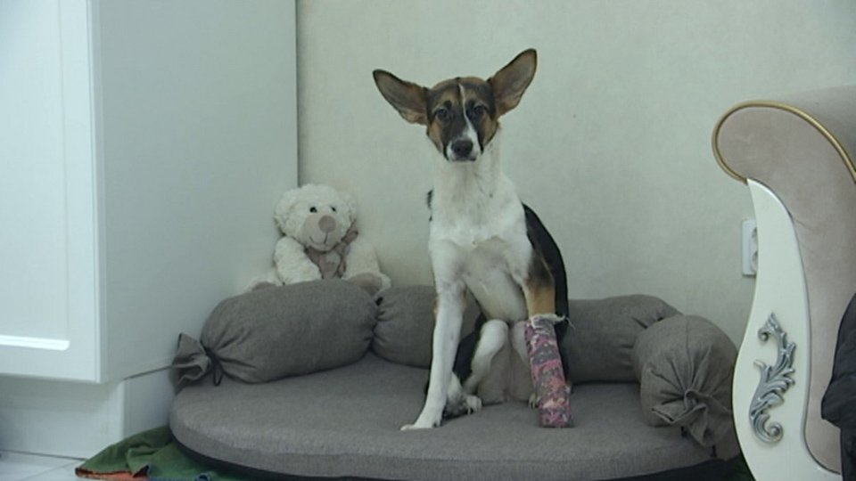    Фото: пресс-служба ГУ МВД по г. Москве