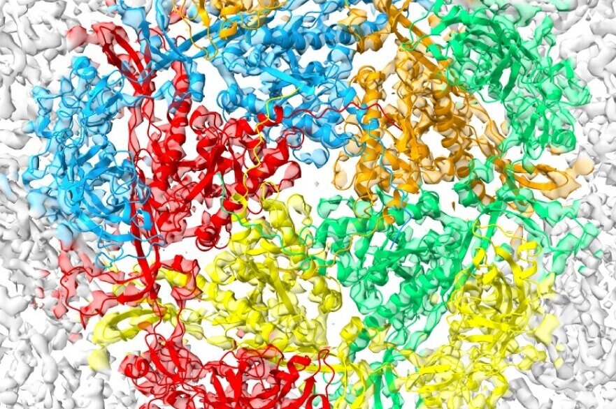    Новыми антибиотиками могут стать вирусы-бактериофаги
