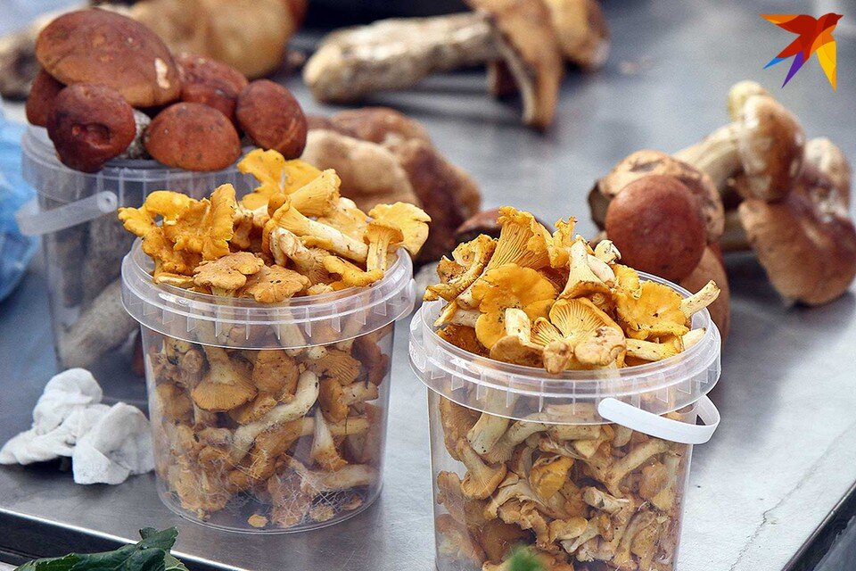     В Гомельской области проверили варенье и консервированные грибы у людей и нашли превышения радиации. Фото: архив «КП»