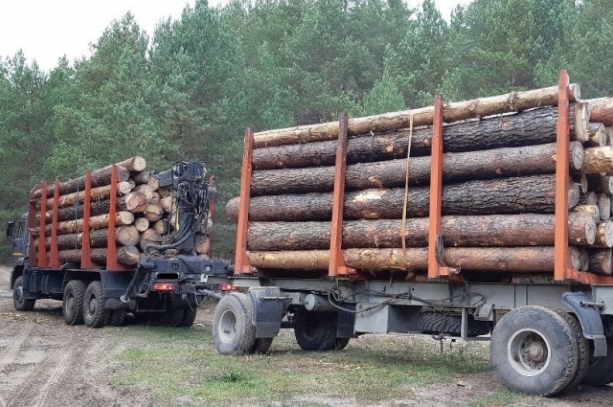    В Туапсе остановили «КамАЗ», перевозящий древесину по поддельным документам