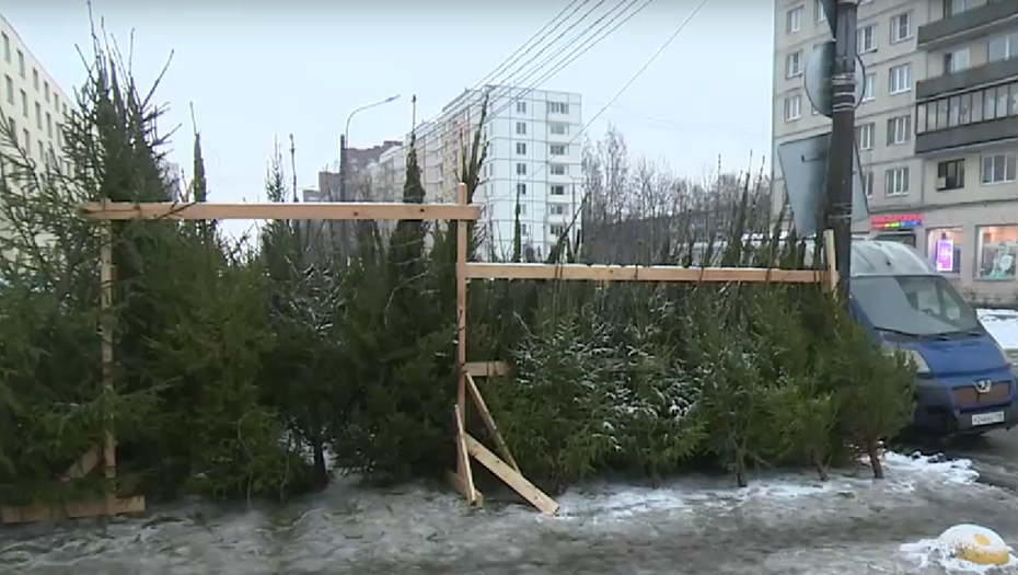    Автор фото: vk.com/kvzpb_official