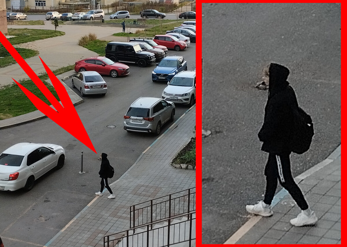 Мошенники - домушники.