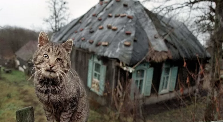 Селемпи. Владелец деревни. Селемпи. Хозяин деревни. Селемпи.