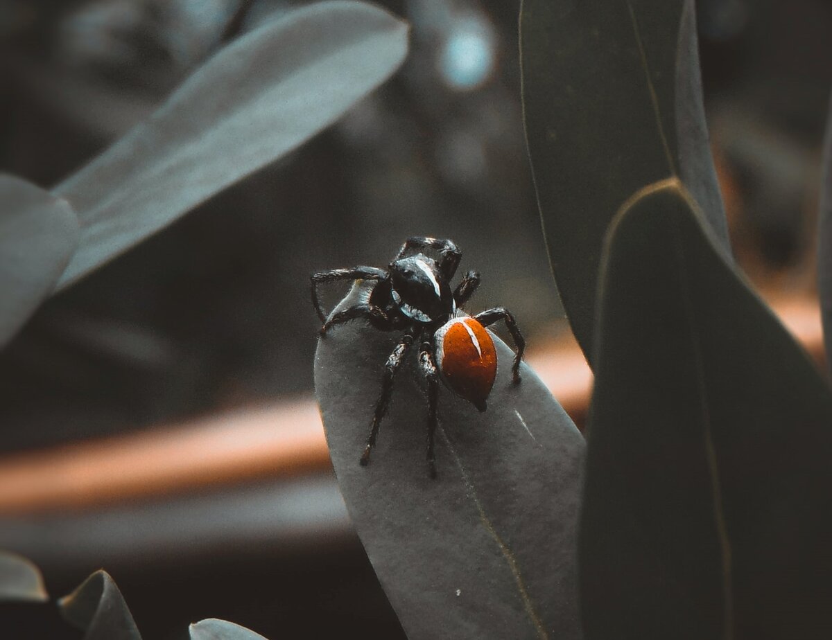 Фото LucasVphotos на Unsplash 2