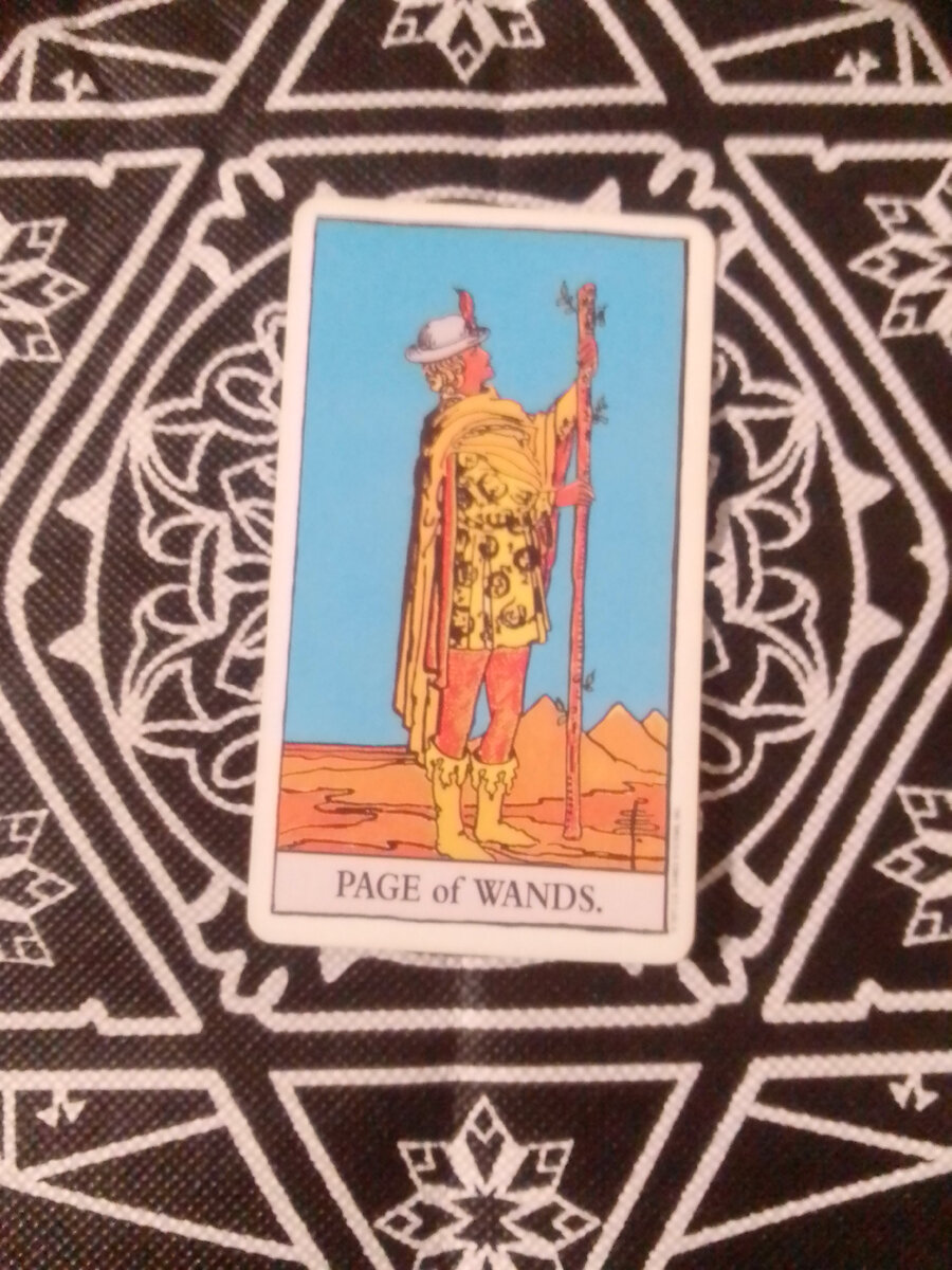 Личное фото автора.