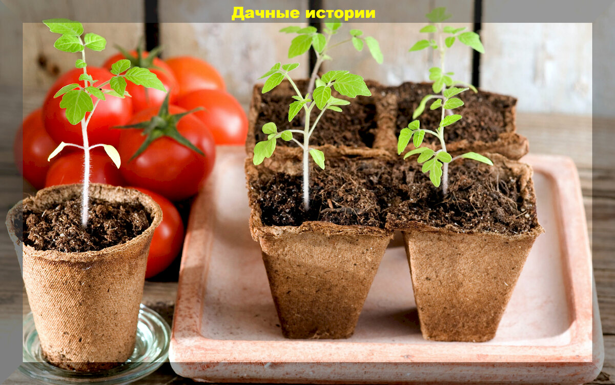https://vk.com/photo-159774511_457257601