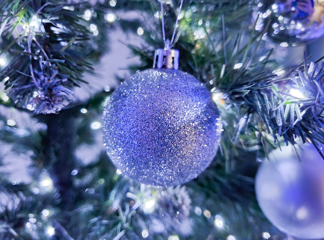 Для затравки красивая фотография