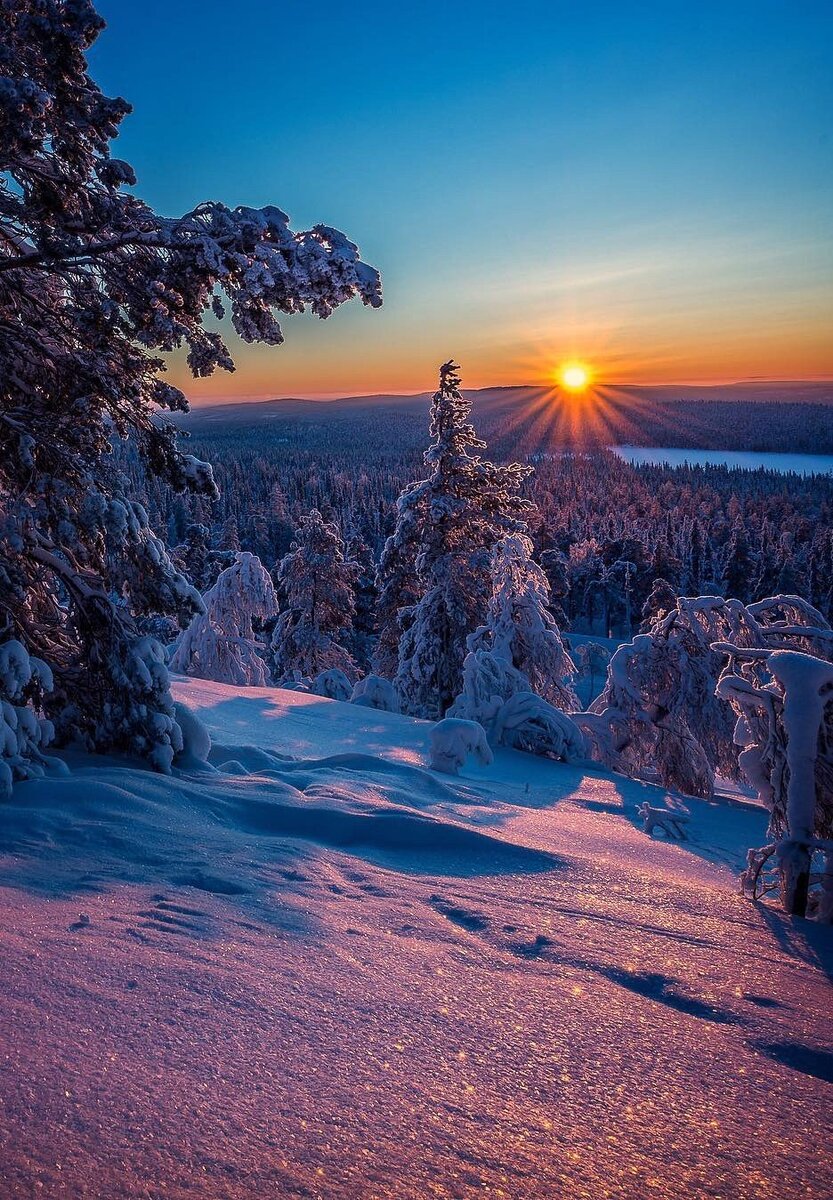 Яндекс.Картинки