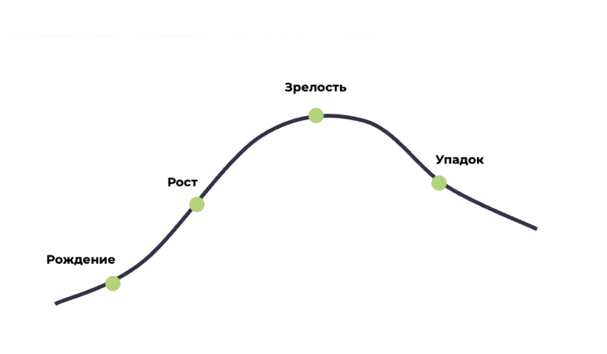 Рис. 1 Кривая жизненного цикла