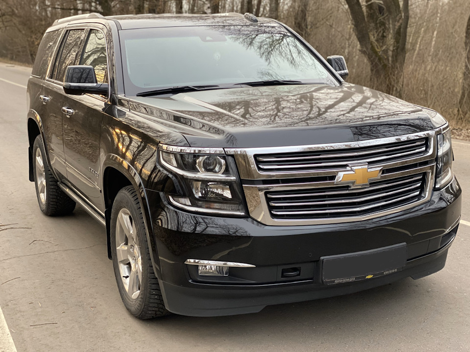 Источник фотографии: Яндекс картинки 