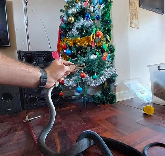 Фото: Ник Эванс