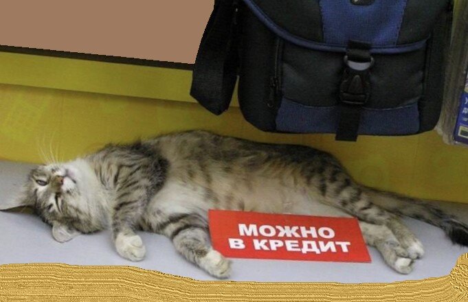 взять в кредит
