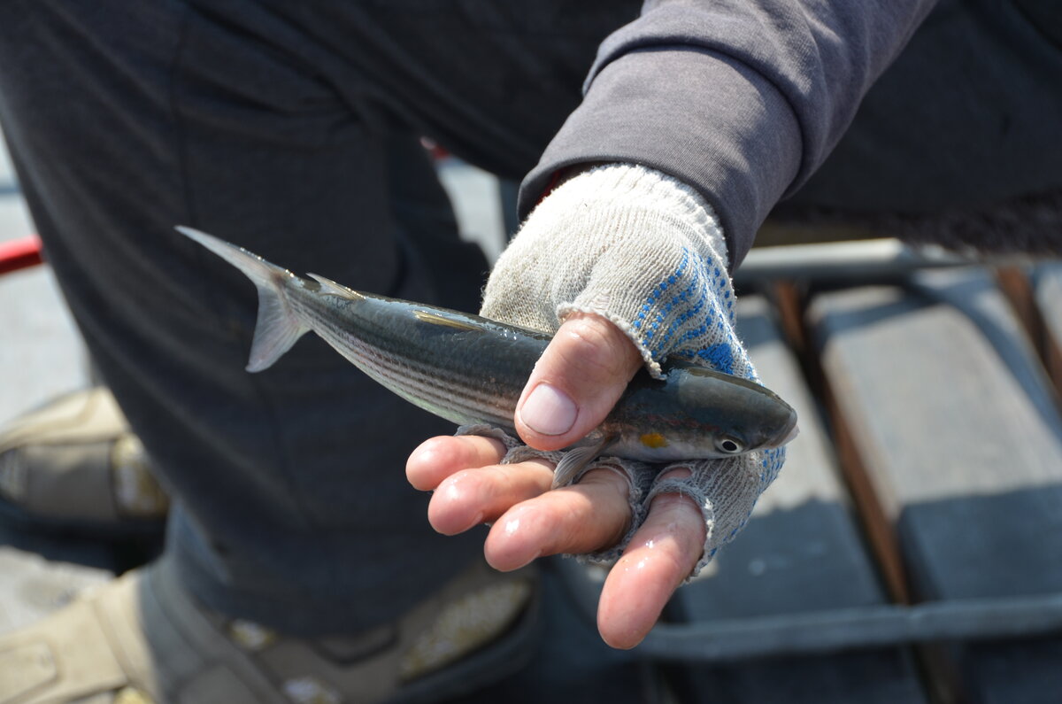Кому снег, а кому рыбалка