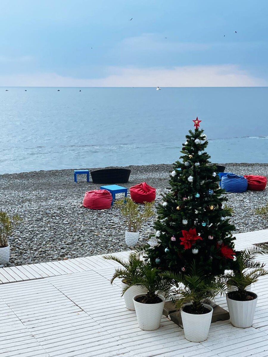 В Сочи наряжают и ёлки и пальмы, а можно ещё и мандариновые и хурмовые деревья - все растёт!