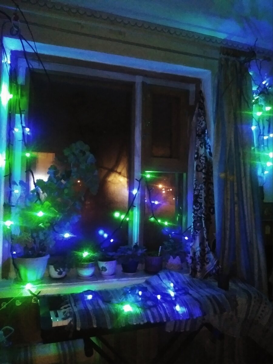 фото автора 