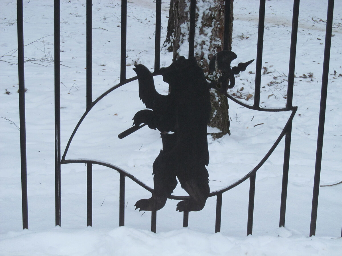 Медведь в Ярославле