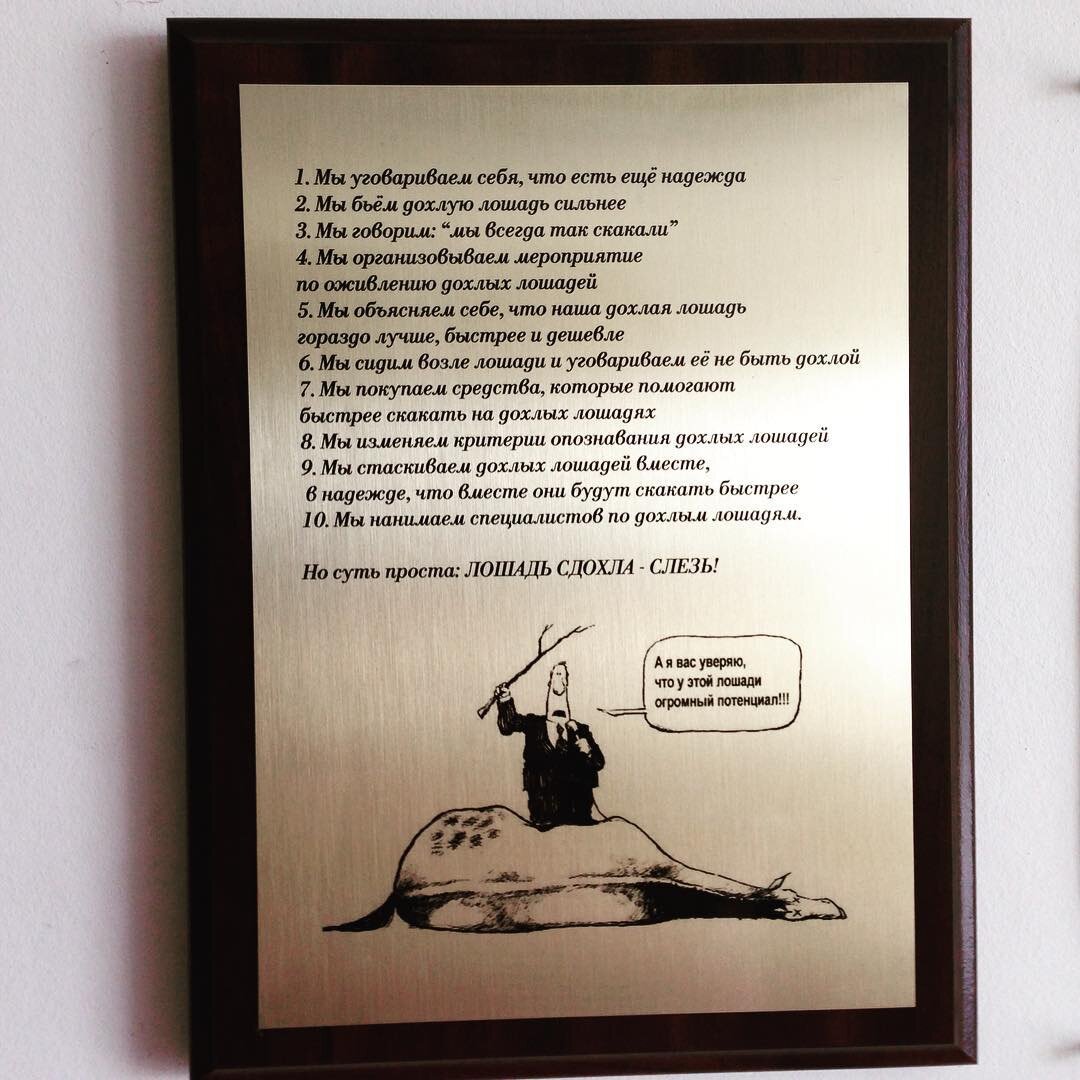 Лошадь сдохла картинки