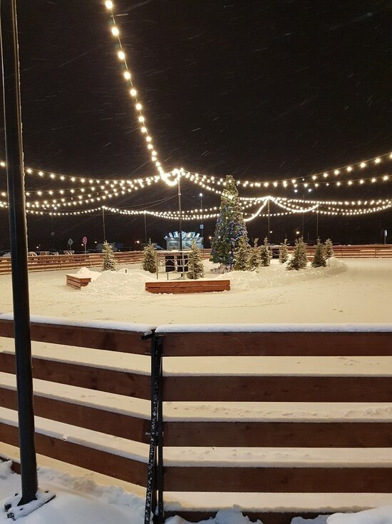     Фото: Виолетты Комиссаровой