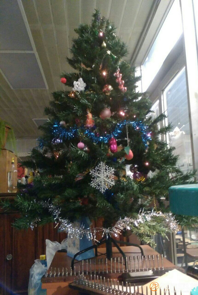   
 Фото: предоставлено «Фонтанке» читателем