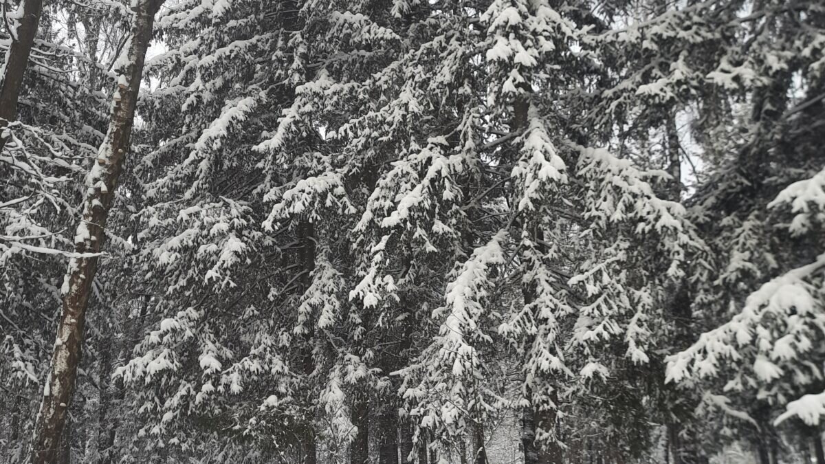 собственное фото sm.news.📷
