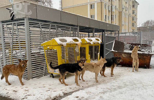 Фото взято из открытых источников