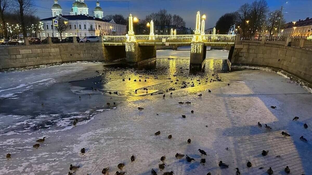 Питер в январе фото