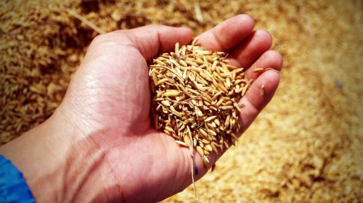    piqsels.com