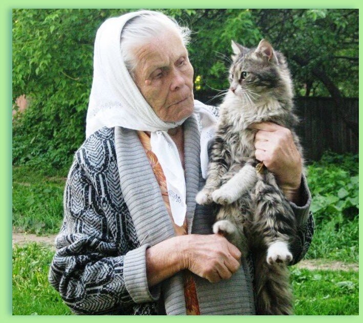 Бабушка с котом картинки
