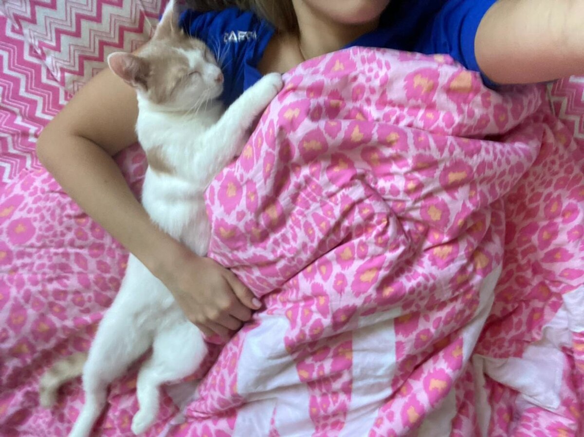 Котик Мяка (дома Кэш), который уехал из приюта домой 22 января 2021 года: «... очень ласковый 🥰 Любит руки) Спать приходит всегда в обнимку.»😻