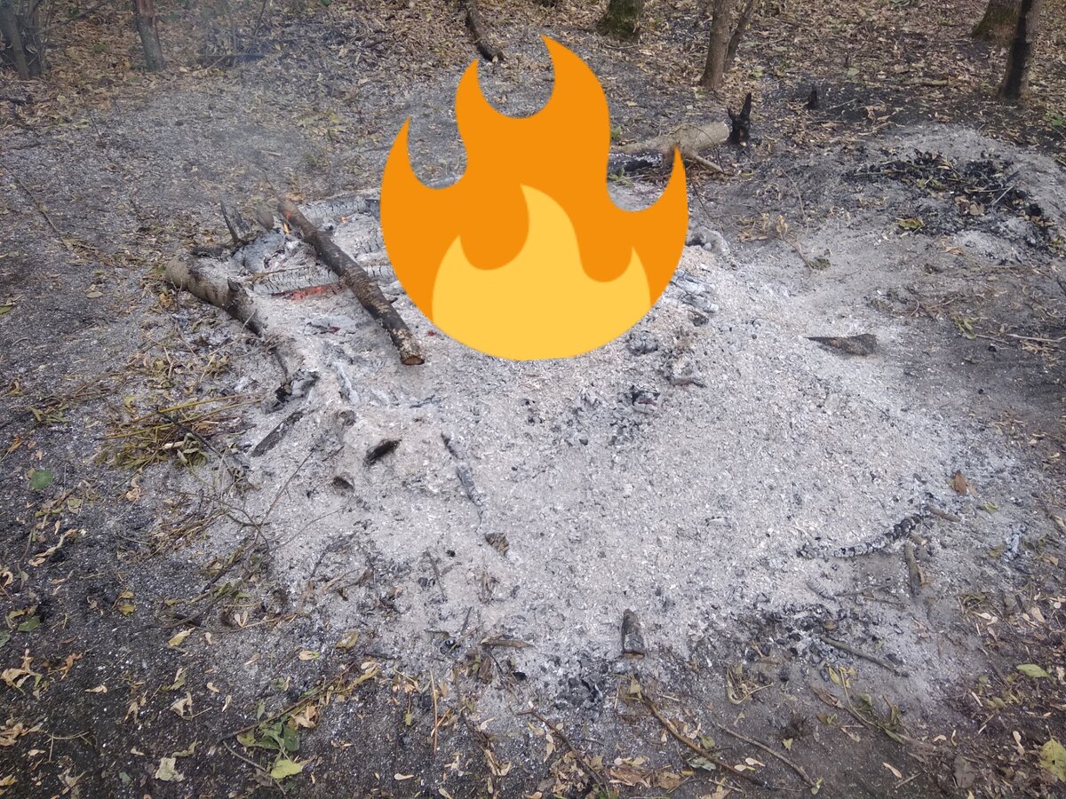 Фото специально для обложки статьи