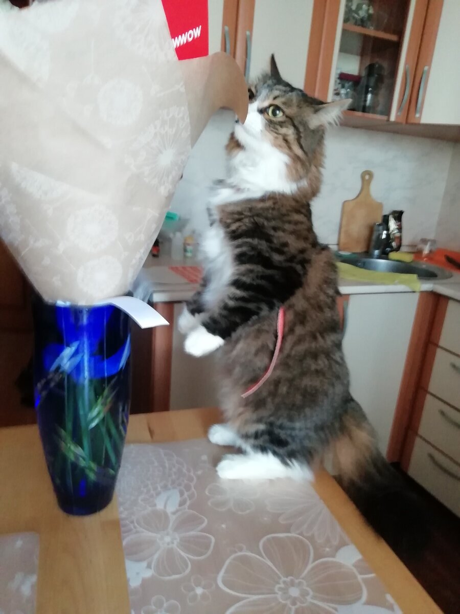 Обожает цветы