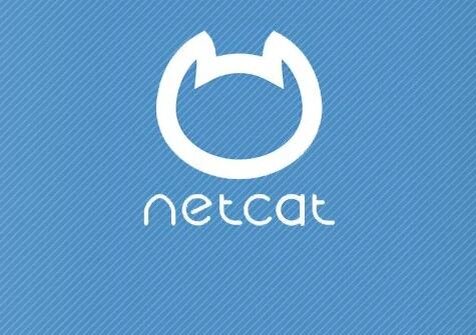 логотип netcat
