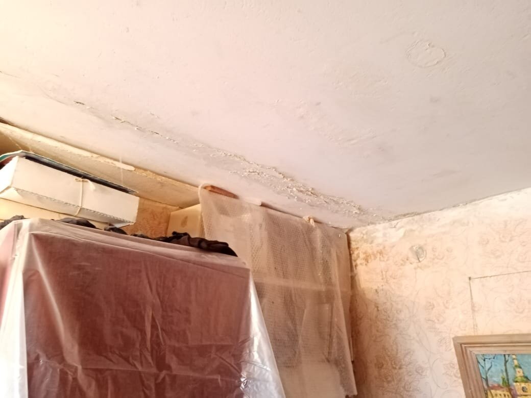 Фото: onf.ru/region/smolenskaya_obl/