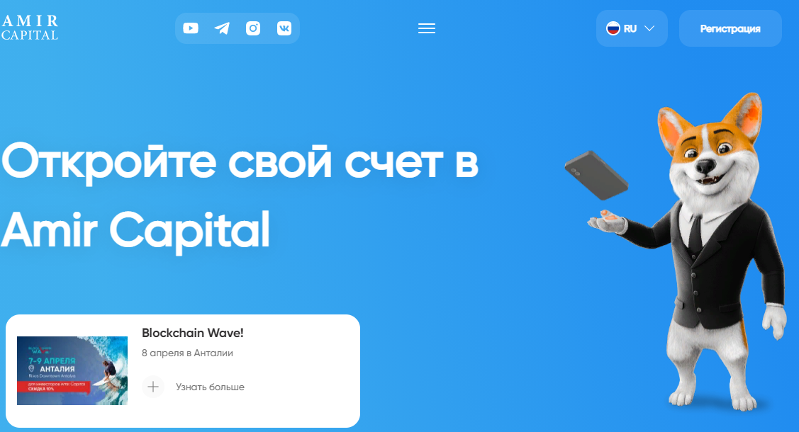 Амир капитал - инвестиционная экосистема