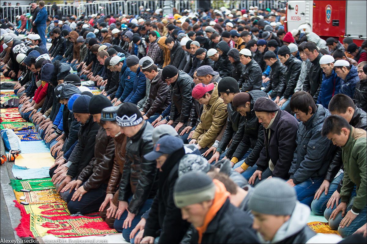 фото с сайта Яндекс-картинки