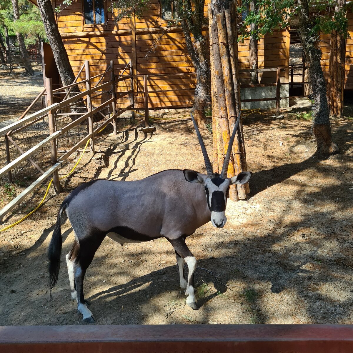 Сафари парк