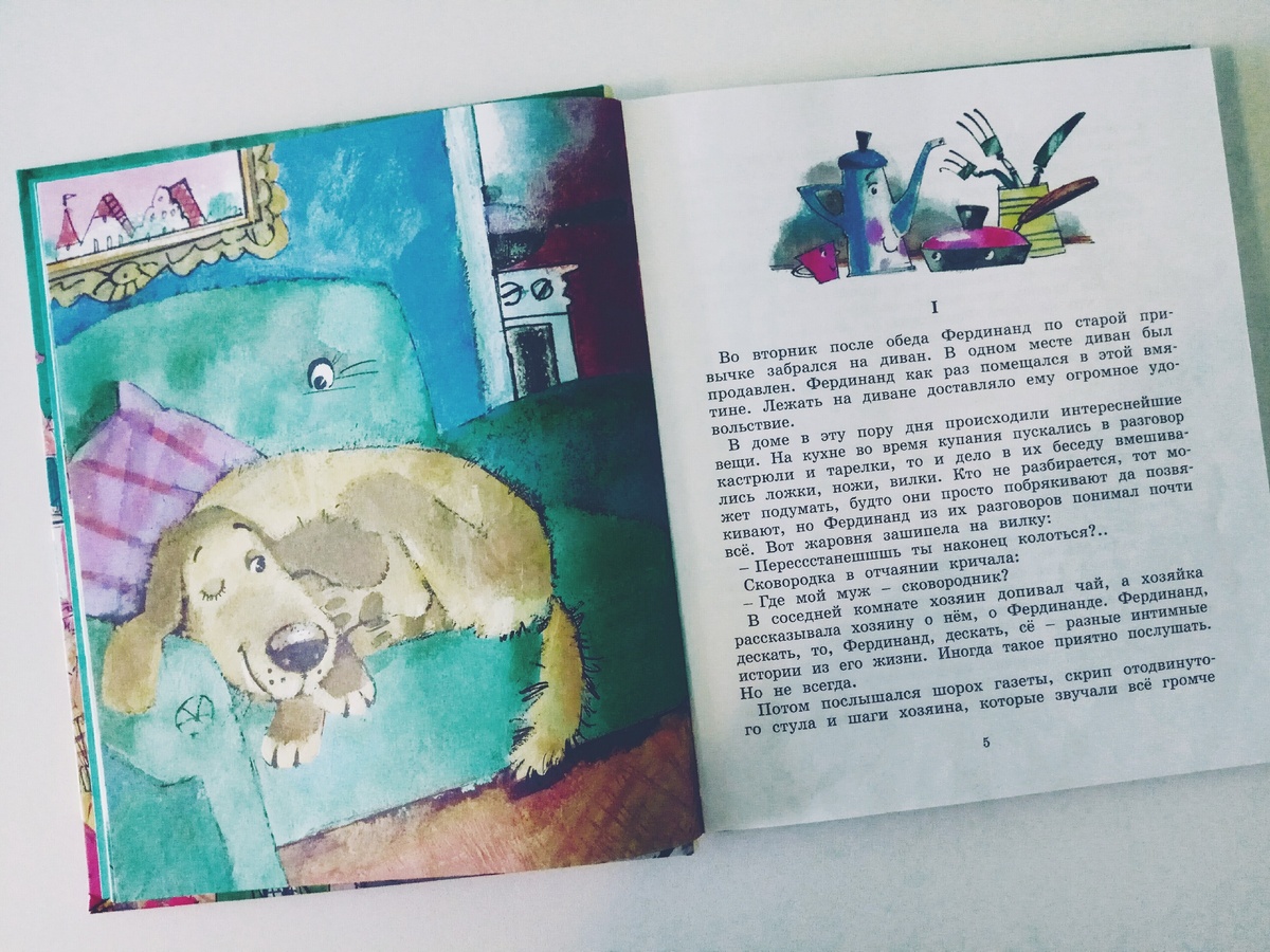 А вот и главный герой. Собирается вздремнуть после обеда на своем любимом диване