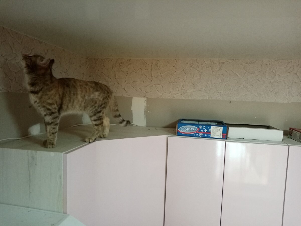 Кухонник у нас большой