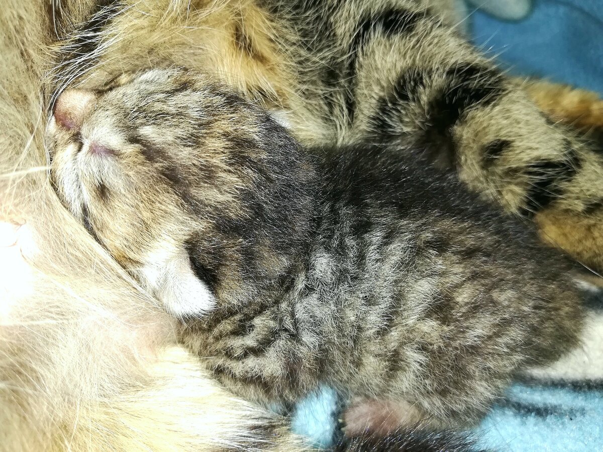 Милый малыш