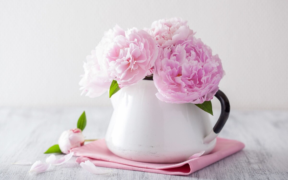 источник картинки интернет https://forum.stitch.su/uploads/monthly_2016_11/image.jpg.bca518b8fd6e6afff05203cae4dfc5d9.jpg