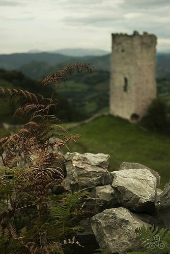 Изображение с ресурса Pinterest