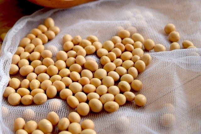 Источник фото: pixabay.com 