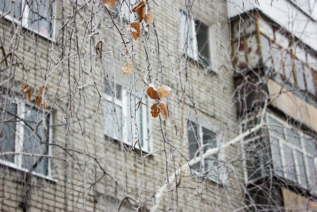 pixabay.com