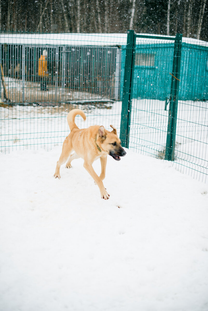 Когда предоставлен сам себе, гоняет на своей импровизированной серебристой машине