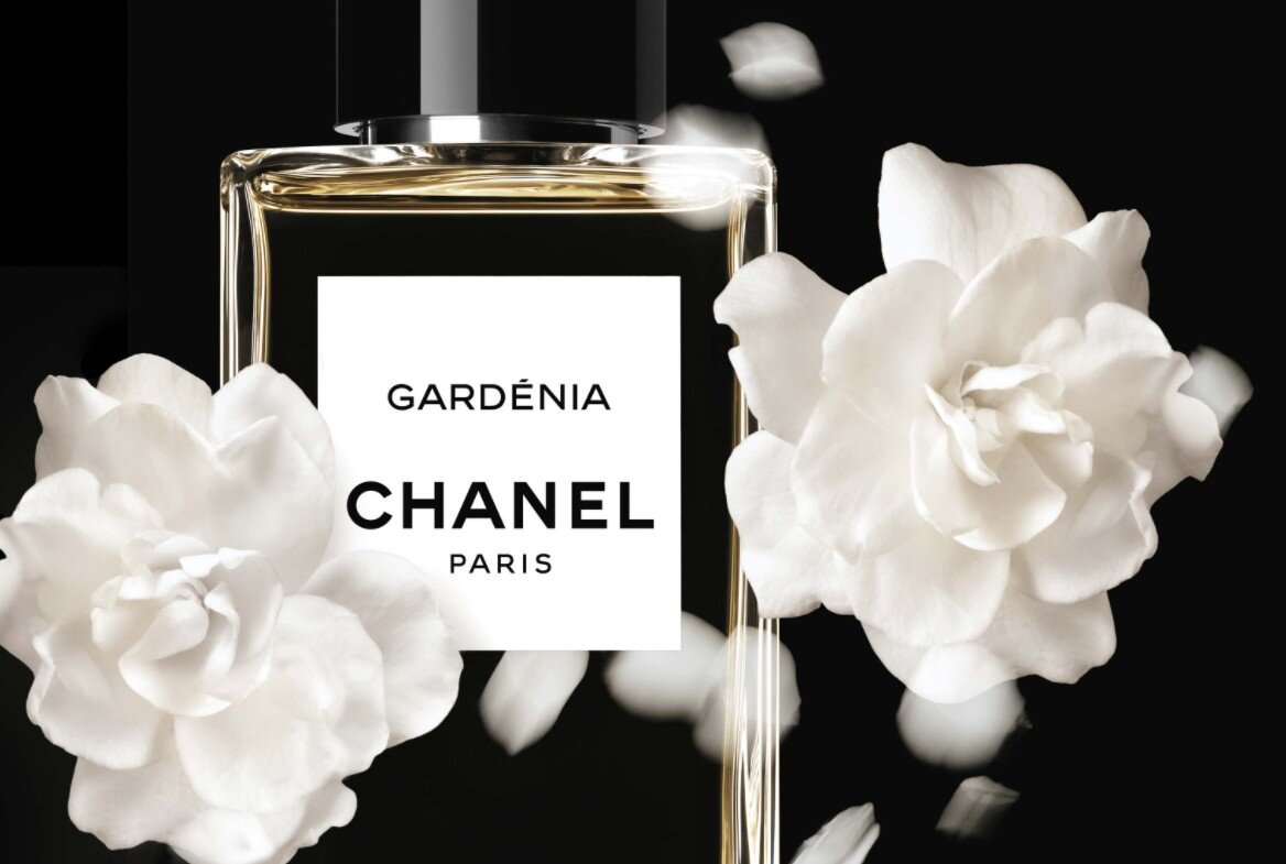 Колокольчик пенхалигонс. Деликатные ароматы. Деликатные ароматы. Деликатные ароматы. Деликатные ароматы.