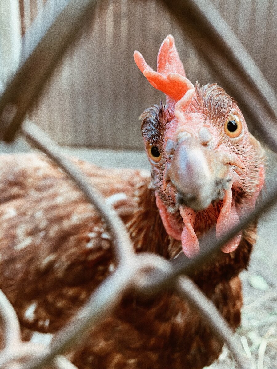 Photo by Oleksandr Koval on Unsplash