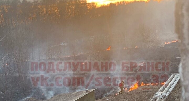ФОТО: группа «Подслушано Брянск» vk.com
