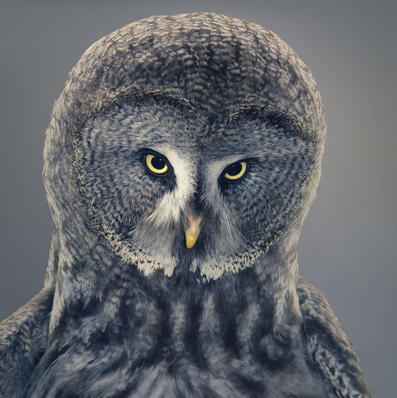 Источник: timflach.com