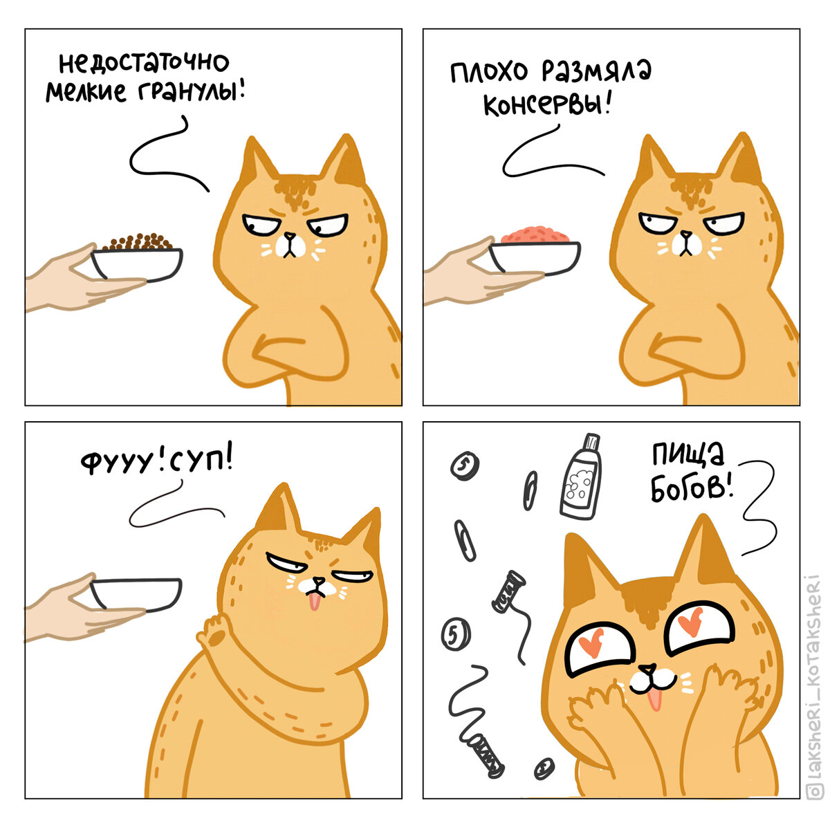 Элитный дорогущий корм? — нееее, котику это не  интересно! П.с. держите вещи с последней картинки подальше от котиков — они очень опасны